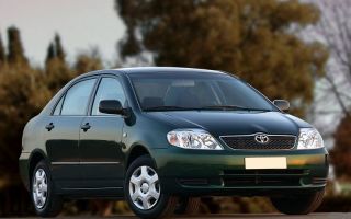 Backlight for Toyota Corolla: car improvement and problem solving